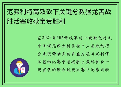 范弗利特高效砍下关键分数猛龙苦战胜活塞收获宝贵胜利
